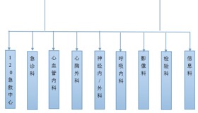 胸痛中心组织架构图