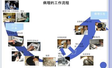 病理科||病理学检查为何需要好几天才能出报告