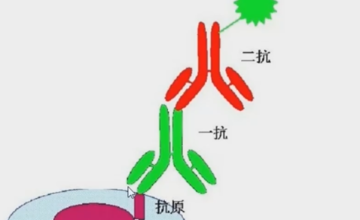 病理科||病理科为什么要做免疫组化